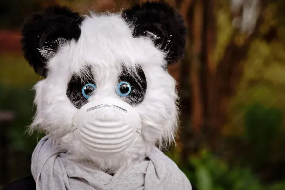 Kazino Hot Line Atbalsts